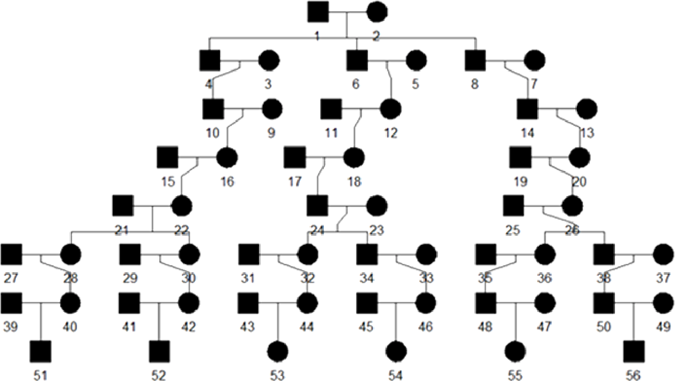 simulated pedigree structure